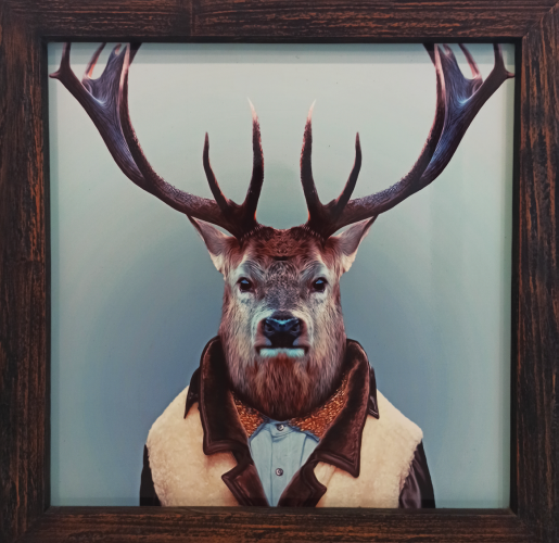 515x500-Art-1