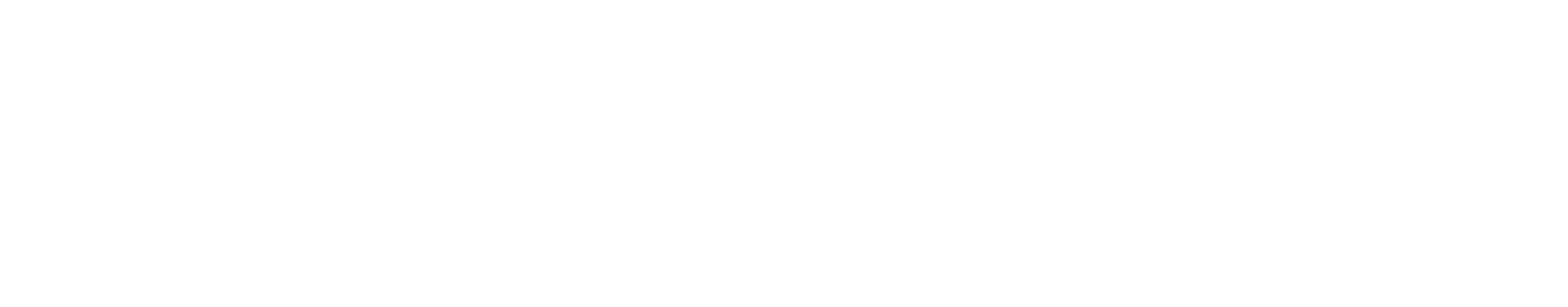 455LOGOWHITE